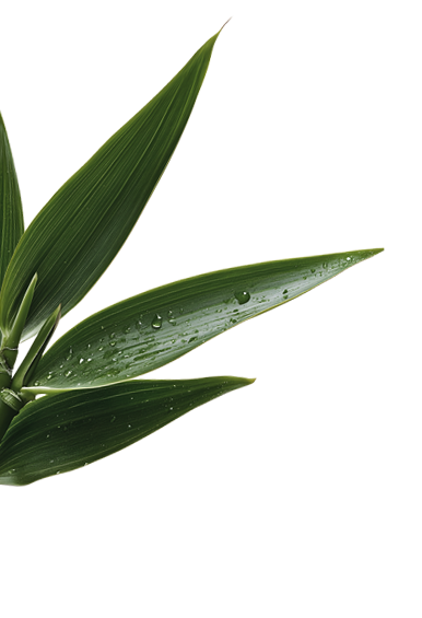 left-leaf