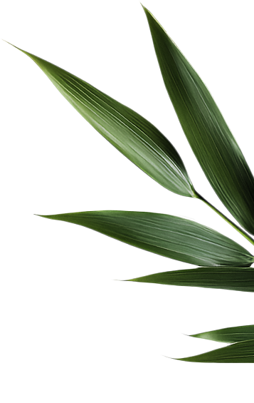 right-leaf