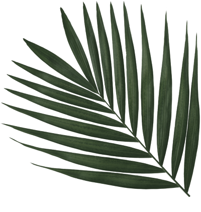 sushi-leaf